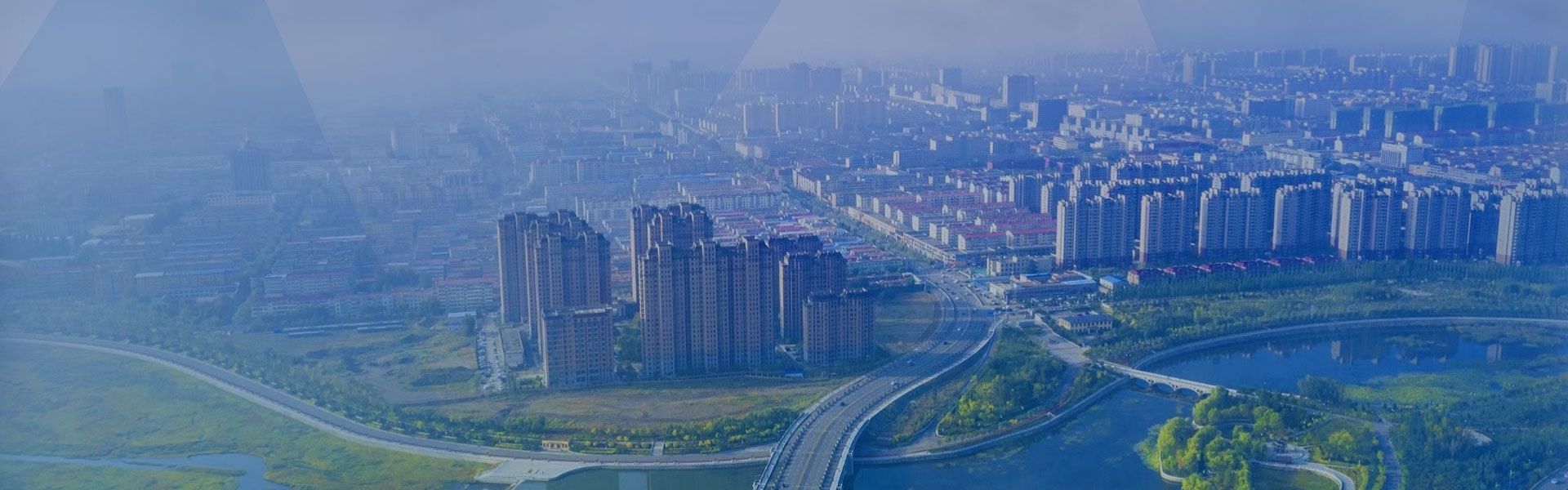 业务板块