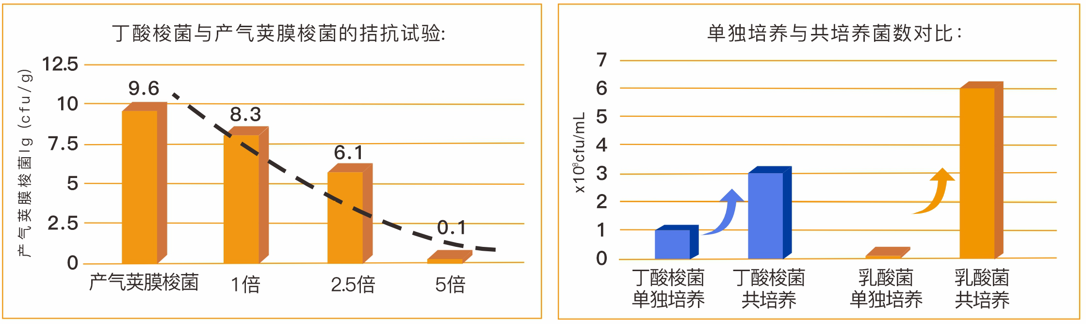 蛋雞無(wú)化藥消炎方案 C011