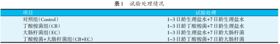 丁酸梭菌早期干预对大肠杆菌攻毒肉仔鸡肠道菌群和短链脂肪酸的影响