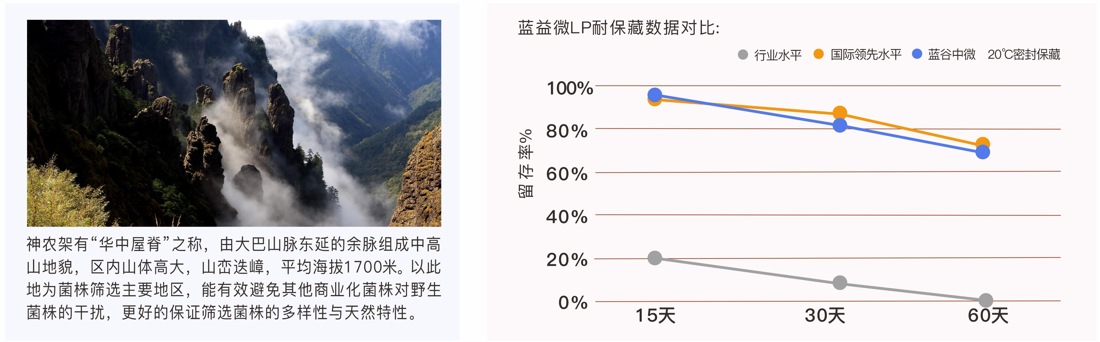 藍益微乳酸菌