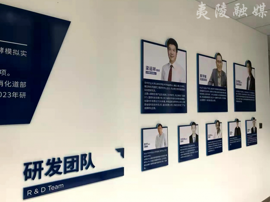 雙創(chuàng)戰(zhàn)略團(tuán)隊