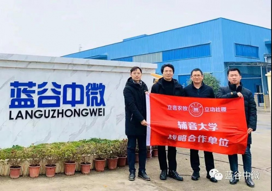 輔音國(guó)際與藍(lán)谷中微達(dá)成戰(zhàn)略合作！