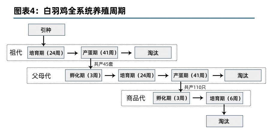 上半年先抑后揚(yáng)，攀爬中見(jiàn)證風(fēng)景