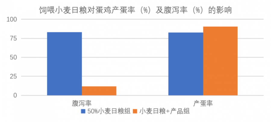 芽麥飼用，如何更好發(fā)揮其營(yíng)養(yǎng)價(jià)值