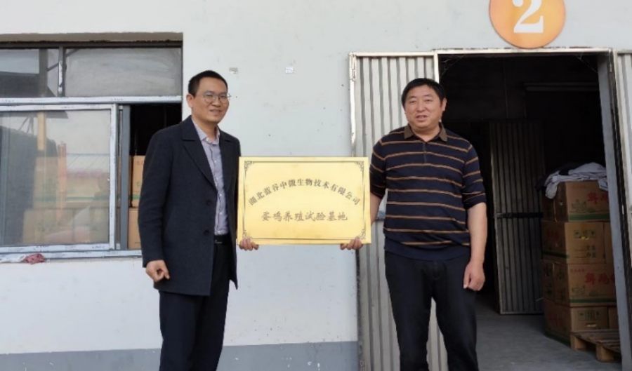 藍(lán)谷中微蛋雞養(yǎng)殖試驗(yàn)基地掛牌成立