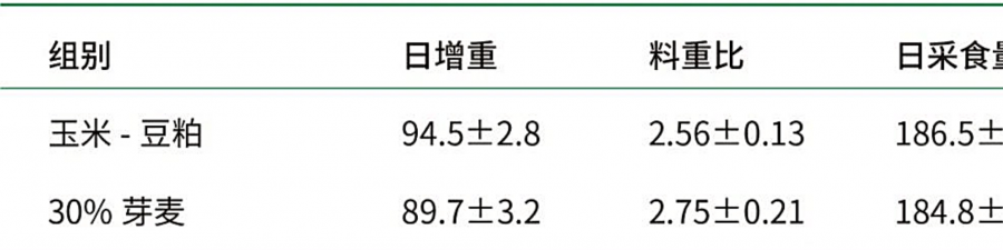 芽麥飼用，如何更好發(fā)揮其營(yíng)養(yǎng)價(jià)值