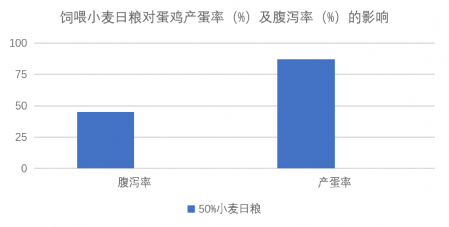 芽麥飼用，如何更好發(fā)揮其營養(yǎng)價值