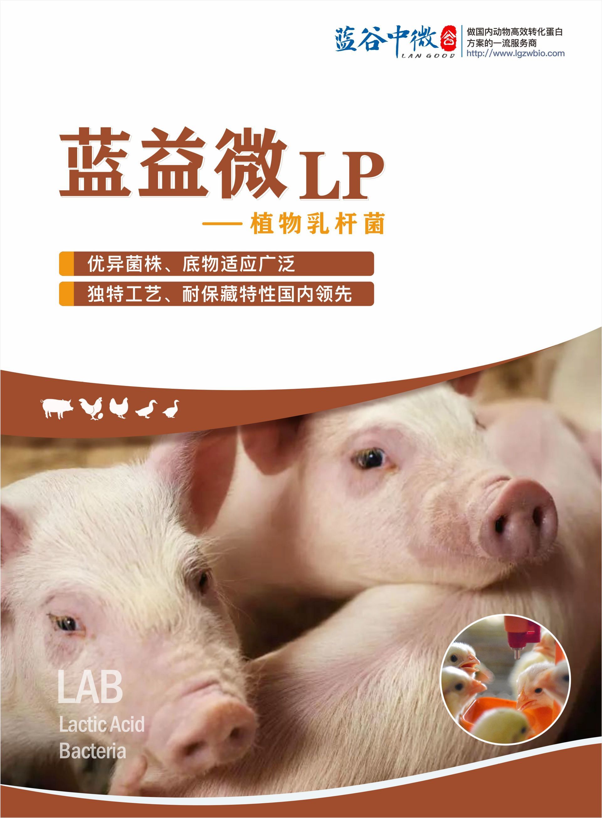 蓝益微LP