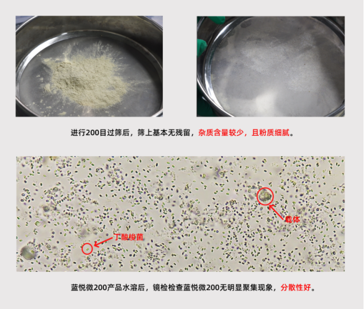 蓝悦微200【饮水型丁酸梭菌】