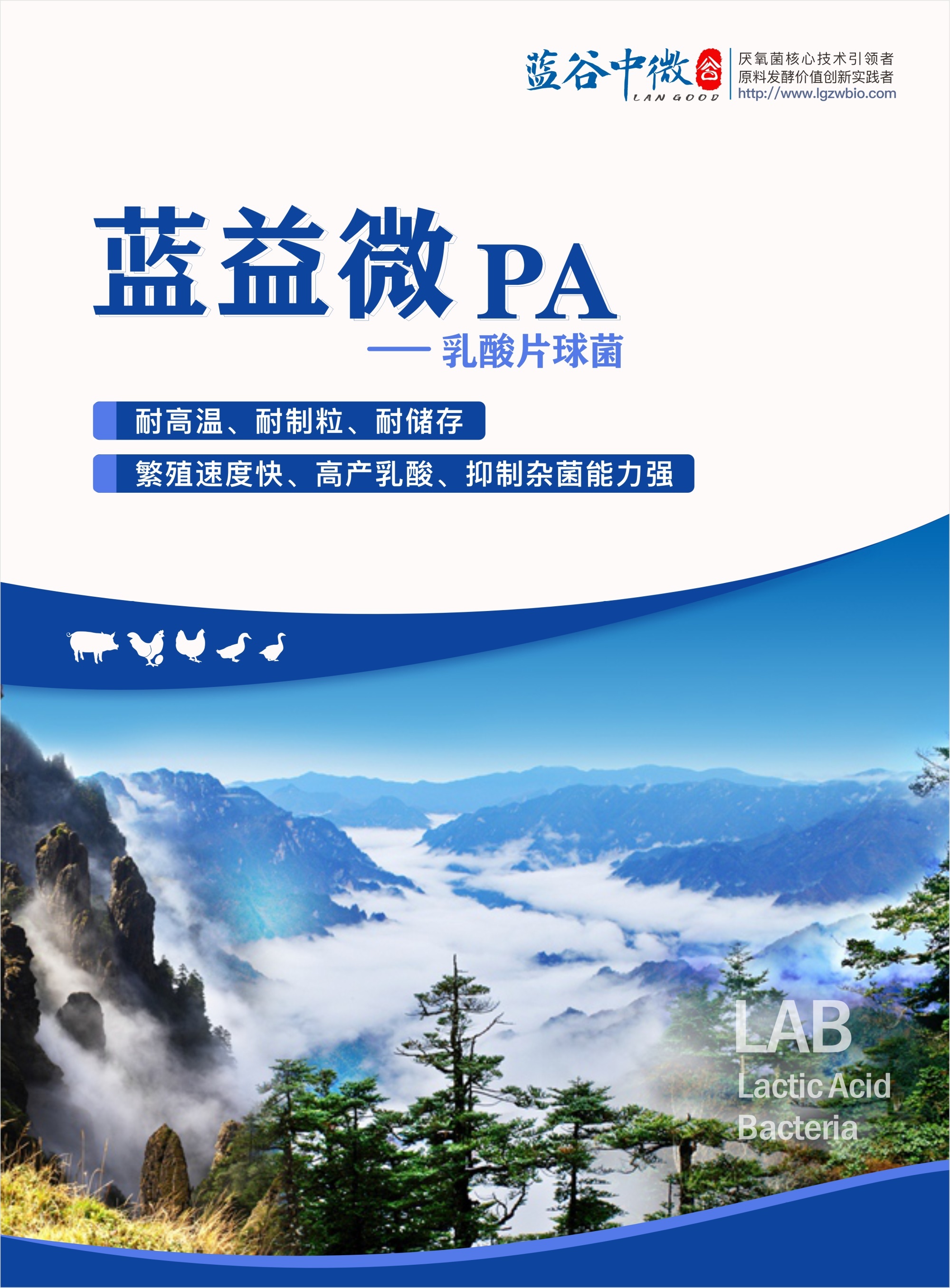 蓝益微PA