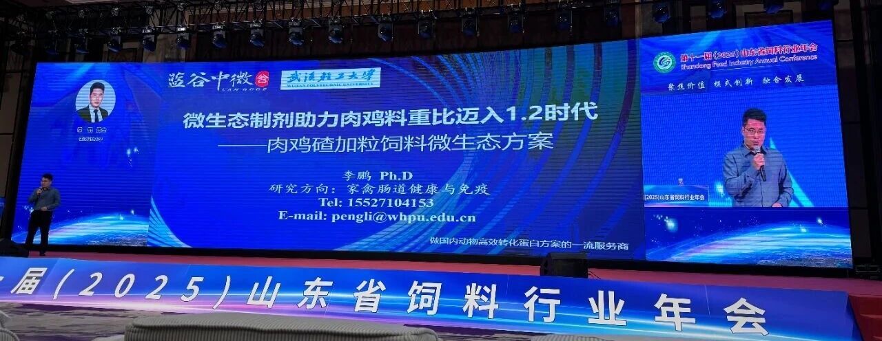Why does his material stay stable at 1.2, even when using the same method of adding grit and granules? Q&A session at Shandong Annual Conference