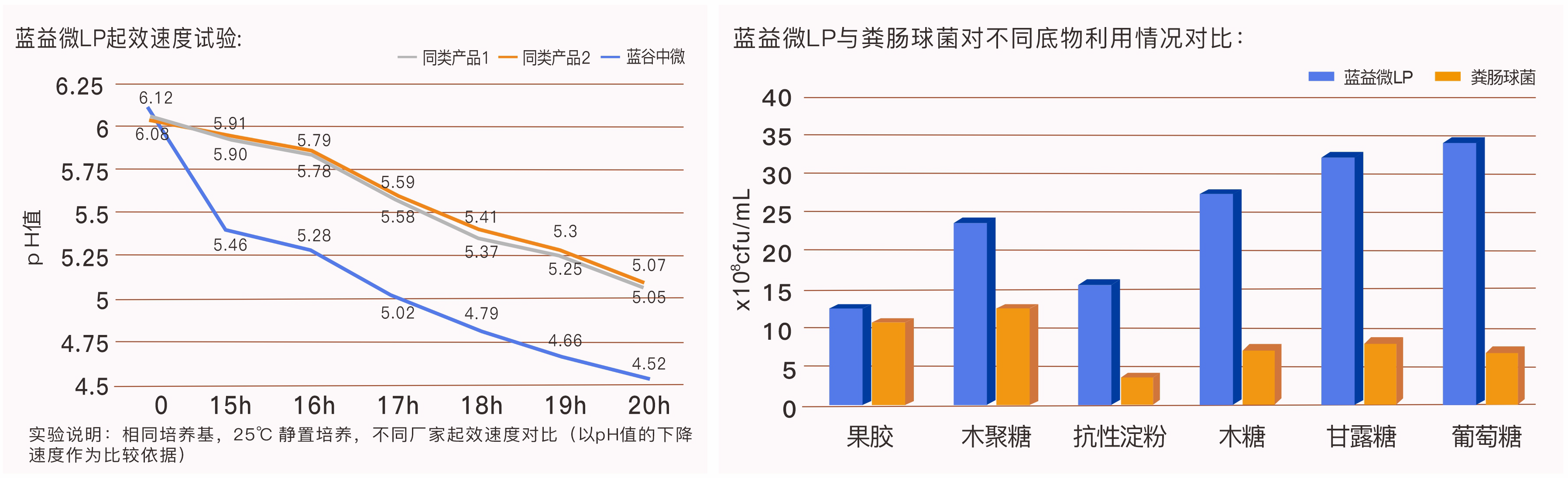 蓝益微乳酸菌