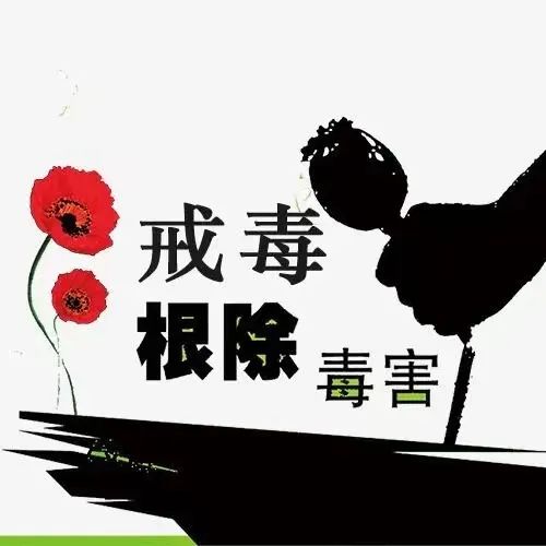 中藥戒毒策略思考：關(guān)于傳統(tǒng)中成藥與特種烏龍茶套組的比較與啟示