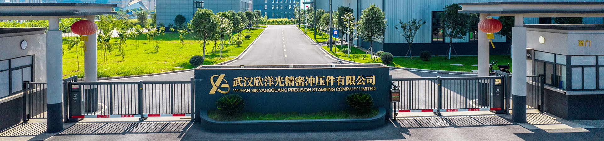 关于欣洋光