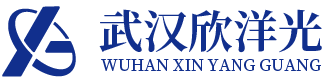 武汉欣洋光精密冲压件有限公司