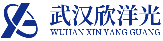 武汉欣洋光精密冲压件有限公司