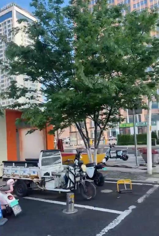 案例展示