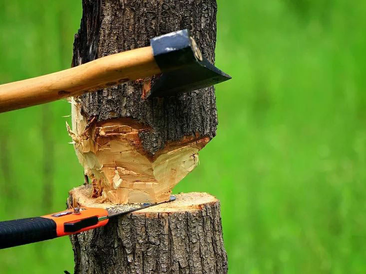 Is it better to use willow wood or poplar wood for the handle of the hammer?