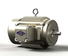REULAND MULTI-SPEED DUAL WIND MOTORS