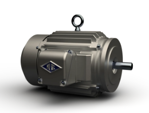 REULAND Multi-Speed Motors 2-SPEED DUAL WIND MOTORS