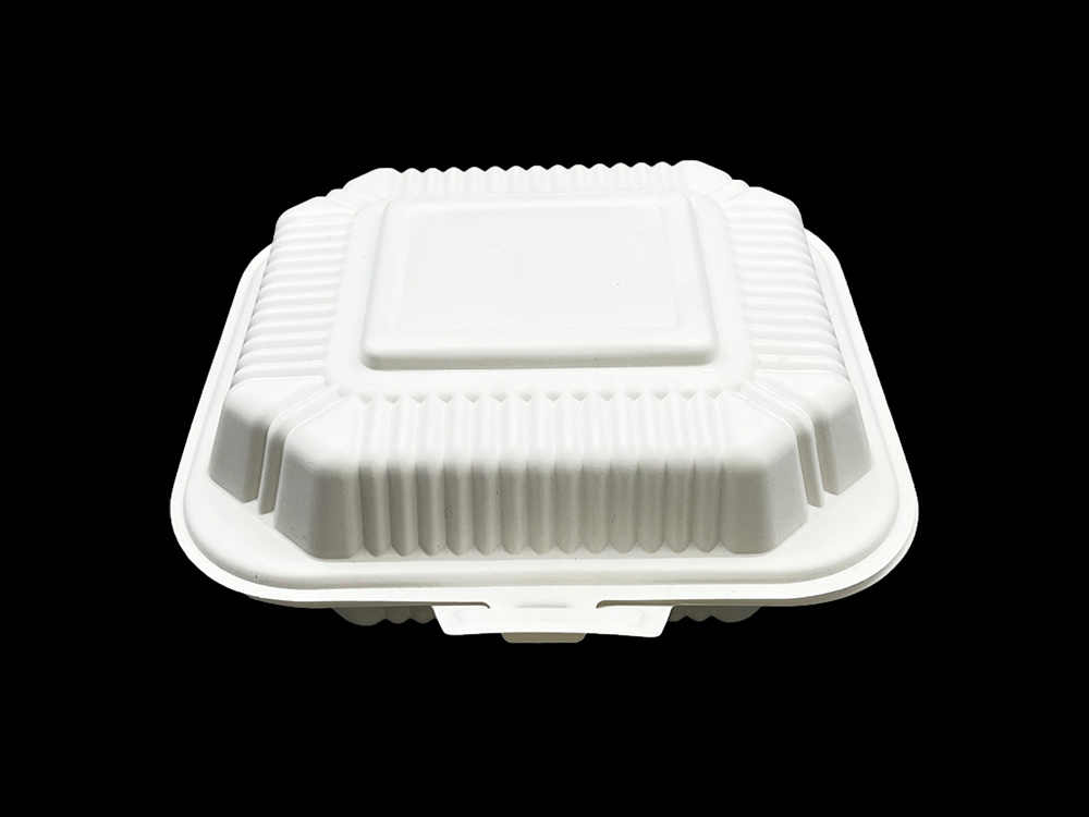 Caja de almuerzo de protección ambiental PP