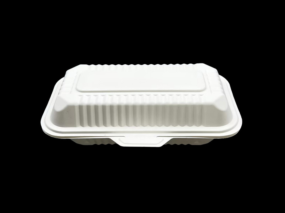 Caja de almuerzo de protección ambiental PP