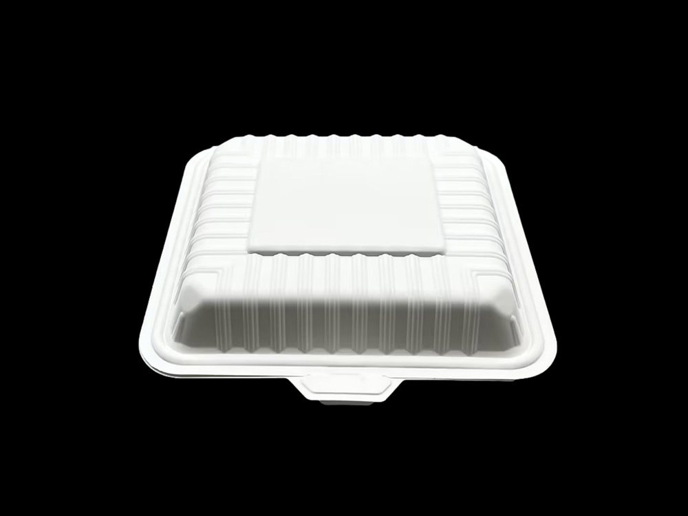 Caja de almuerzo de protección ambiental PP