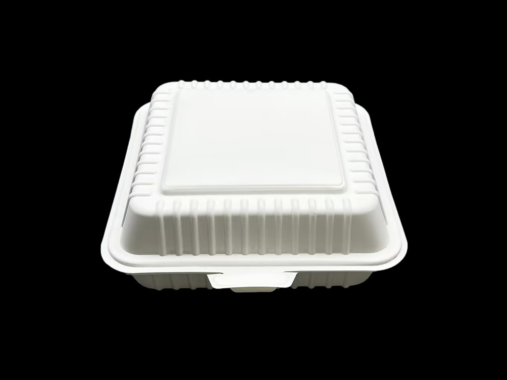 Caja de almuerzo de protección ambiental PP