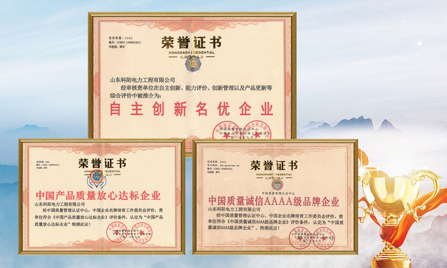 國(guó)產(chǎn)品質(zhì)量放心達(dá)標(biāo)企業(yè)