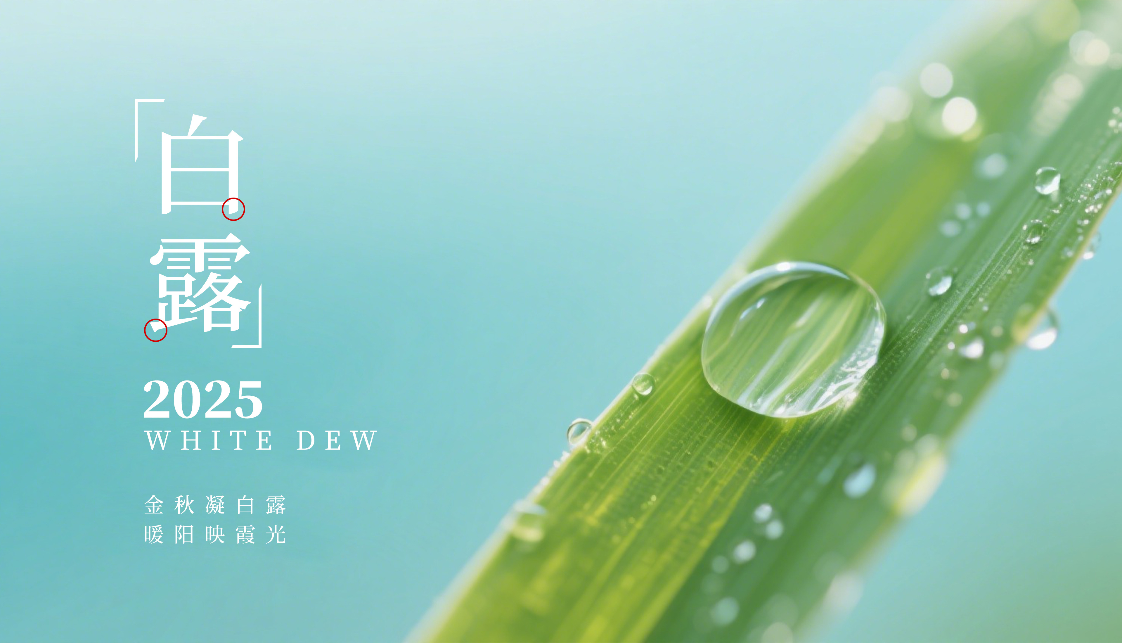 白露