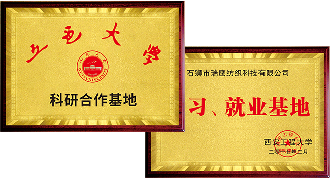 2017年 2017年