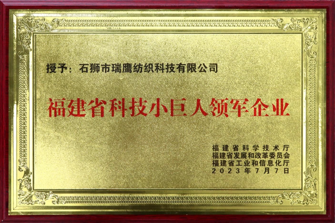 福建省科技小巨人领军企业 福建省科技小巨人领军企业
