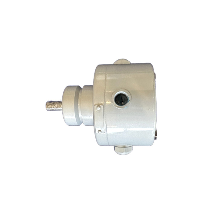 Radial piston pump