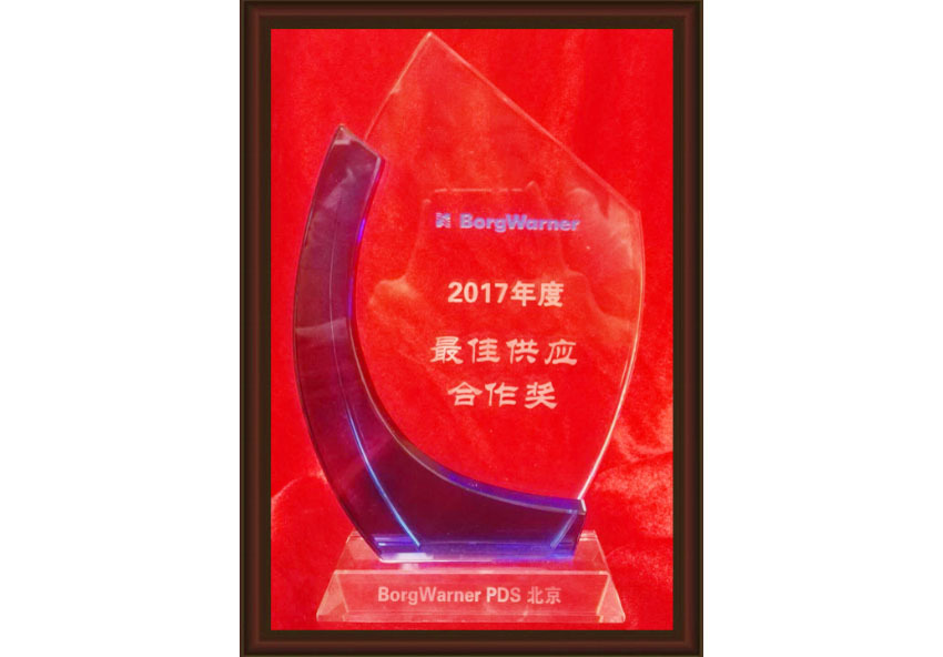 Best Supply Cooperation Award
