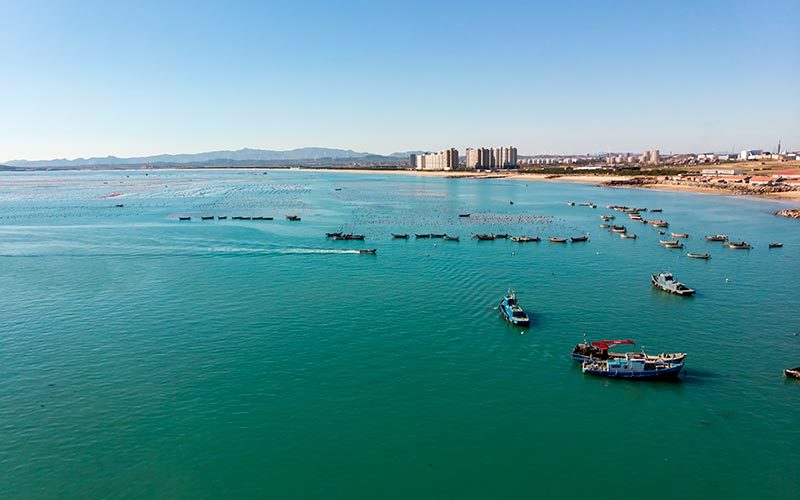 福星海产 福星海产