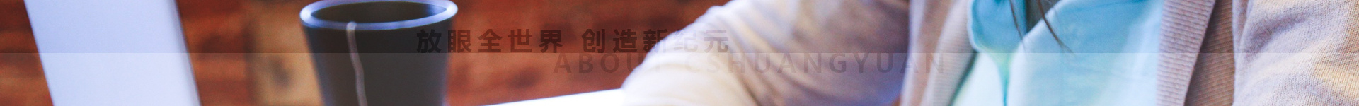 长沙创元集团有限公司