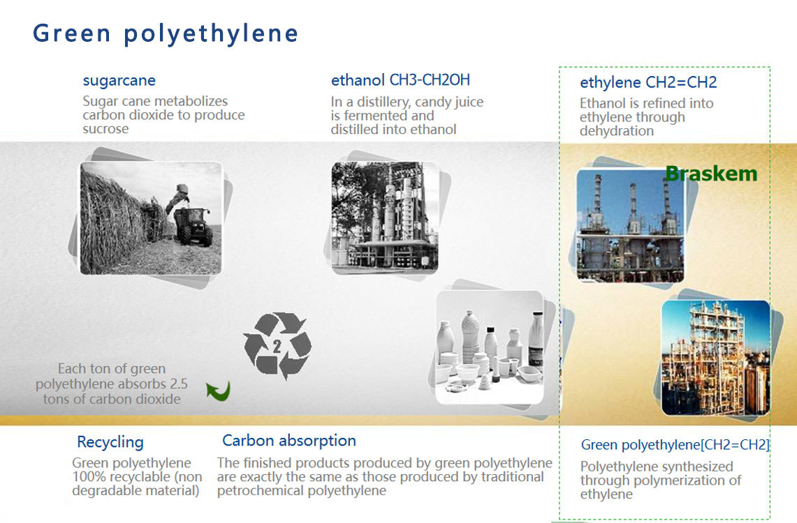 Introduction to Biobased PE Materials