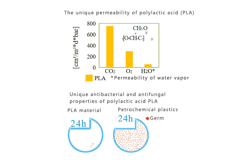 What is the Biosphere plastic