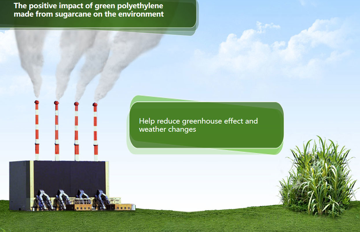 Introduction to Biobased PE Materials