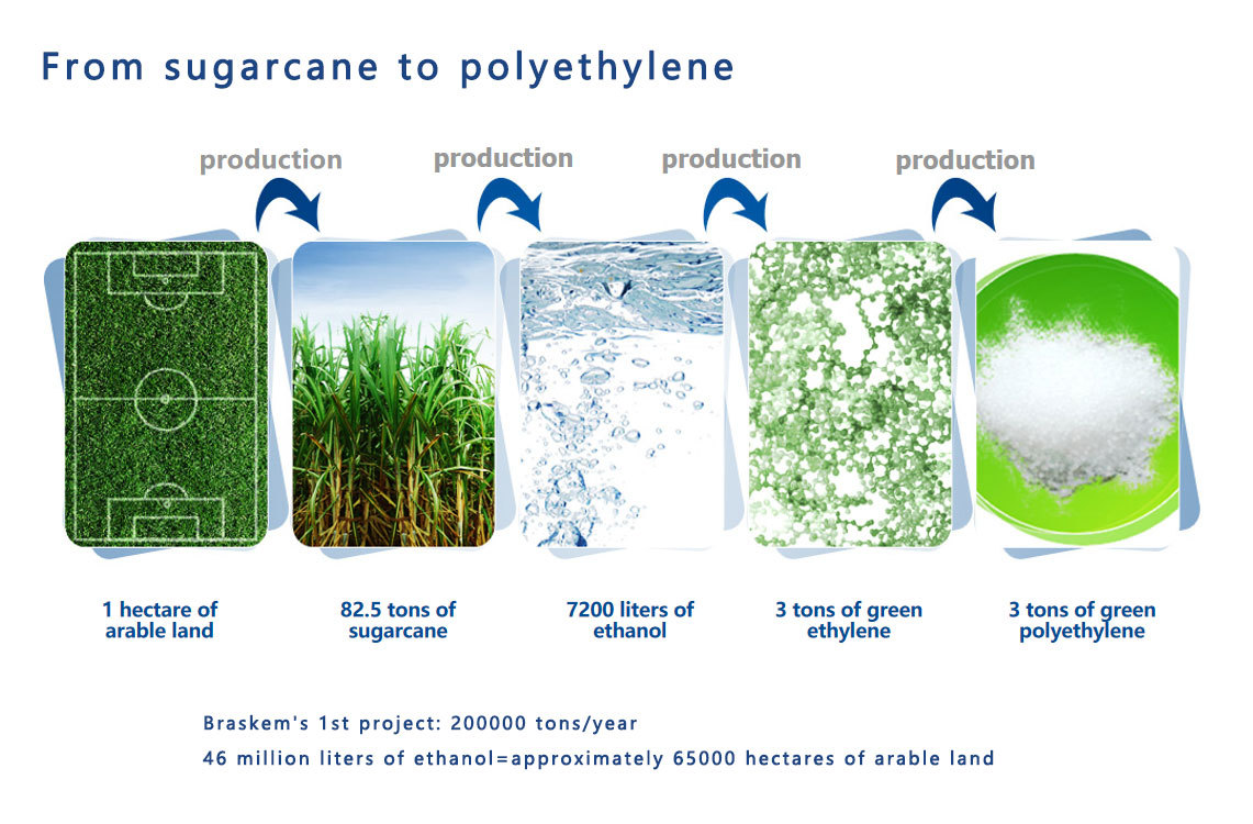 Introduction to Biobased PE Materials