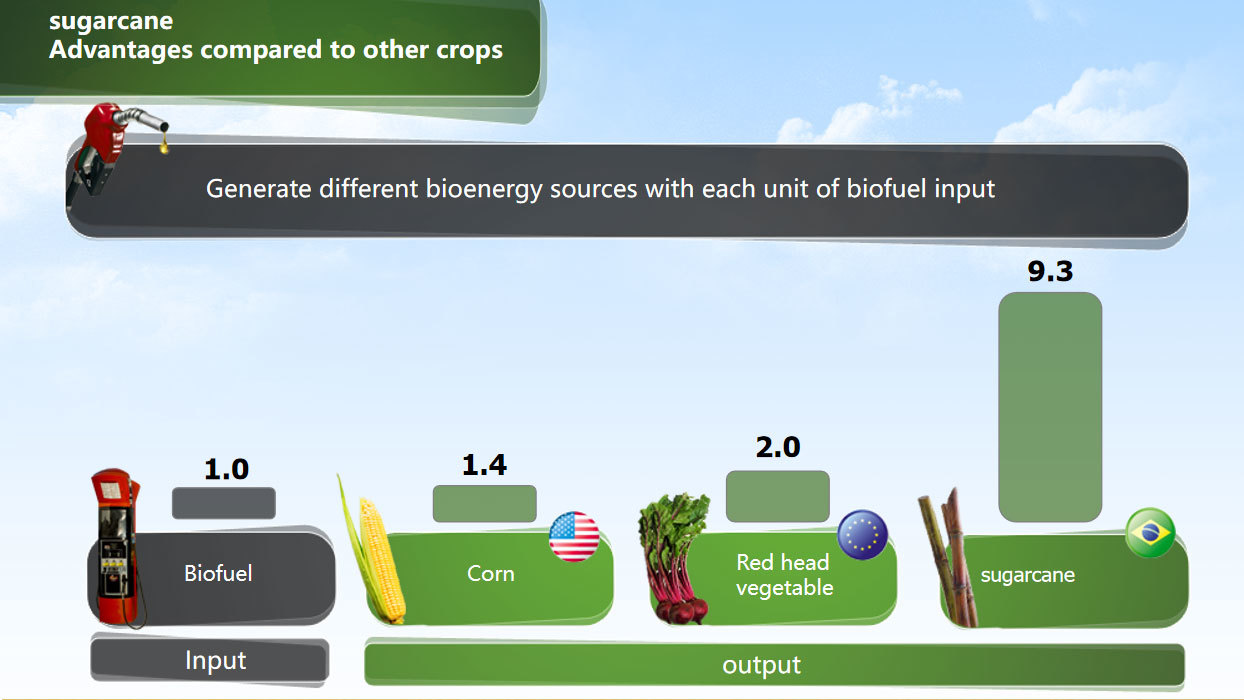 Introduction to Biobased PE Materials