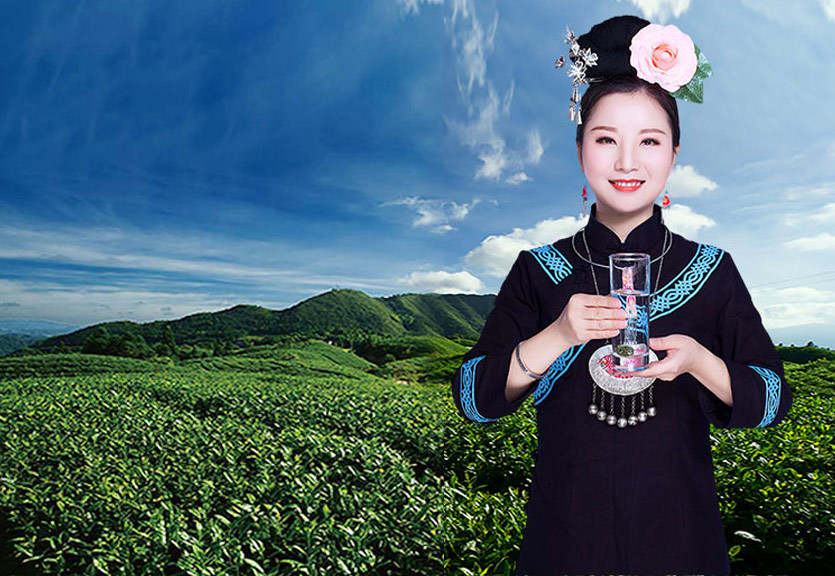 天然在这里 雷公山自然保护区腹地 天然在这里 雷公山自然保护区腹地