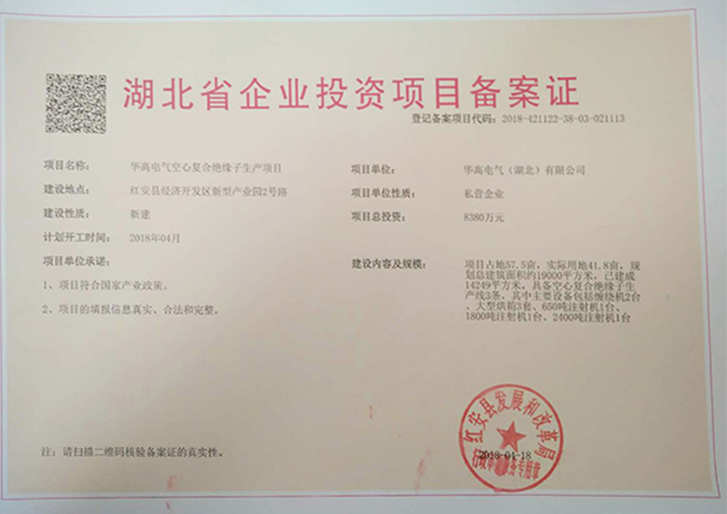 Hubei Province Enterprise Investment Project Filing Certificate