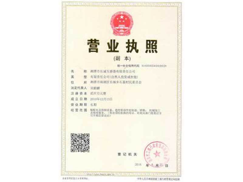 Business License