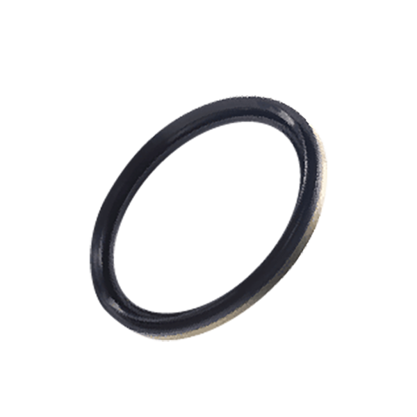 TK Series TS Series Ultra High Pressure Seal Ring