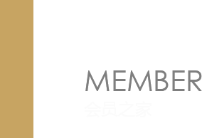 思达迪文化