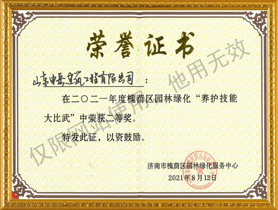 榮譽證書