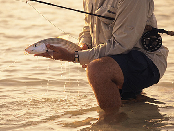 外出钓鱼影响渔获的十个因素