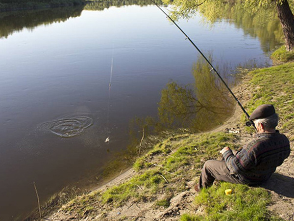 Eight things you must see if you are a beginner in fishing