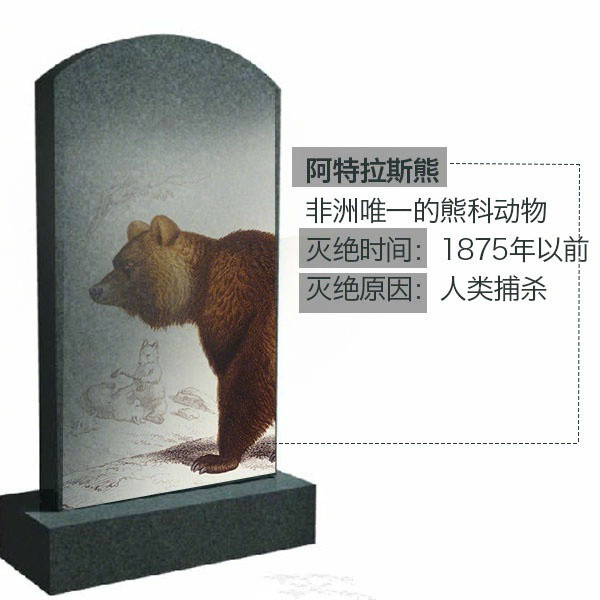 滅絕動物——阿特拉斯熊